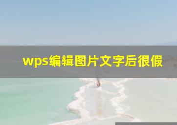 wps编辑图片文字后很假