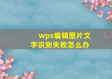 wps编辑图片文字识别失败怎么办