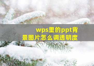 wps里的ppt背景图片怎么调透明度