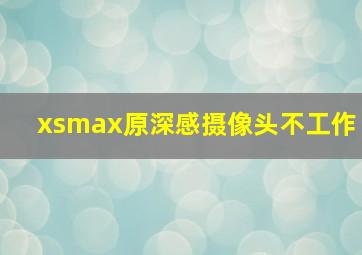 xsmax原深感摄像头不工作