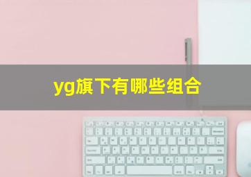 yg旗下有哪些组合