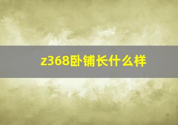 z368卧铺长什么样