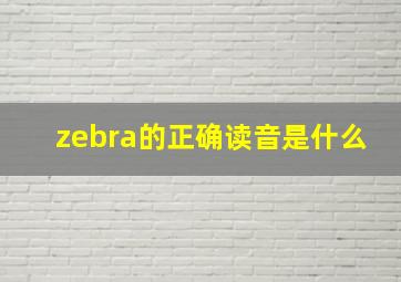 zebra的正确读音是什么