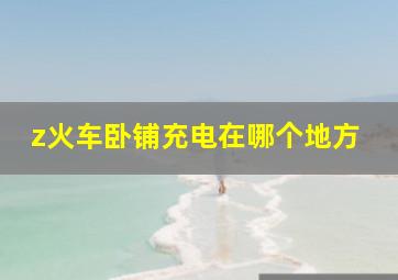 z火车卧铺充电在哪个地方