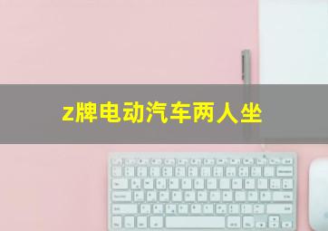 z牌电动汽车两人坐