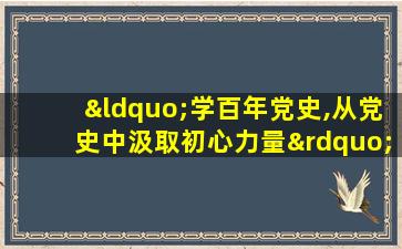 “学百年党史,从党史中汲取初心力量”