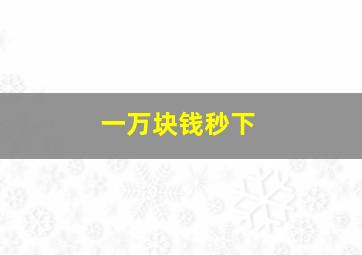 一万块钱秒下