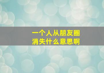 一个人从朋友圈消失什么意思啊