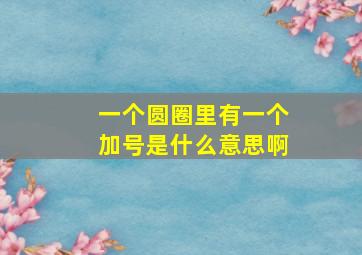 一个圆圈里有一个加号是什么意思啊