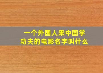 一个外国人来中国学功夫的电影名字叫什么