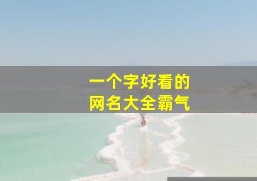 一个字好看的网名大全霸气