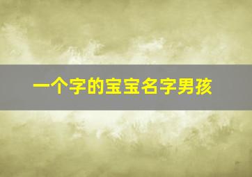 一个字的宝宝名字男孩