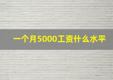 一个月5000工资什么水平