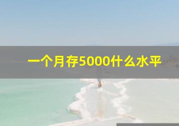 一个月存5000什么水平