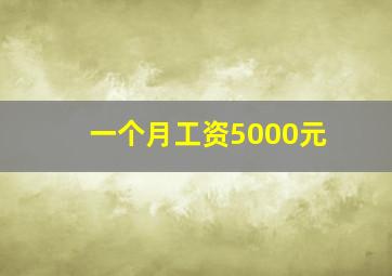 一个月工资5000元