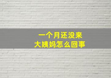 一个月还没来大姨妈怎么回事