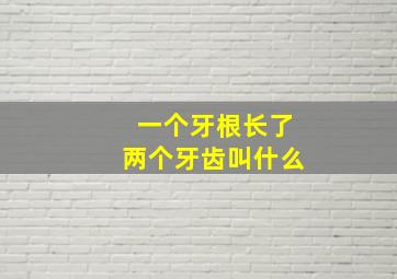 一个牙根长了两个牙齿叫什么