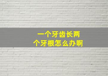 一个牙齿长两个牙根怎么办啊