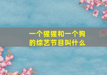 一个猩猩和一个狗的综艺节目叫什么