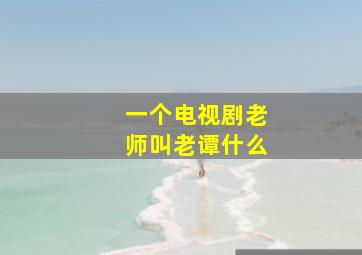 一个电视剧老师叫老谭什么