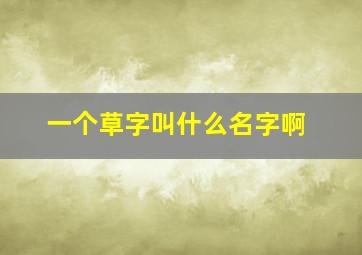 一个草字叫什么名字啊