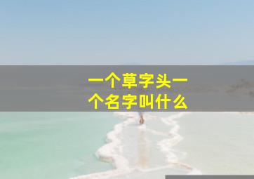 一个草字头一个名字叫什么