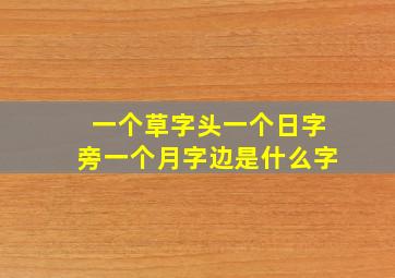 一个草字头一个日字旁一个月字边是什么字