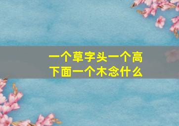 一个草字头一个高下面一个木念什么