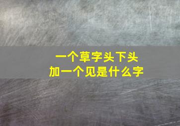 一个草字头下头加一个见是什么字