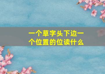 一个草字头下边一个位置的位读什么