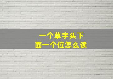 一个草字头下面一个位怎么读