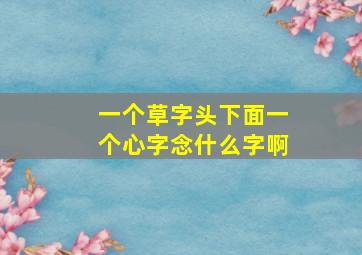 一个草字头下面一个心字念什么字啊