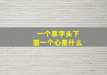 一个草字头下面一个心是什么