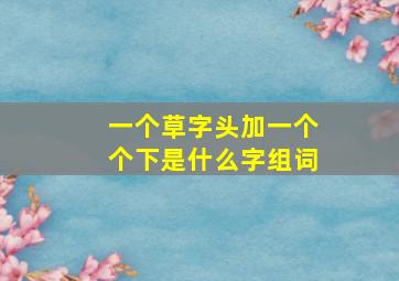 一个草字头加一个个下是什么字组词