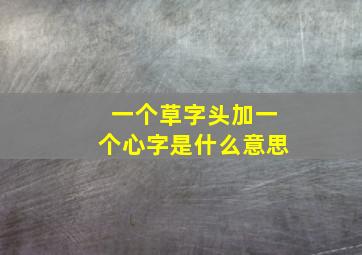 一个草字头加一个心字是什么意思