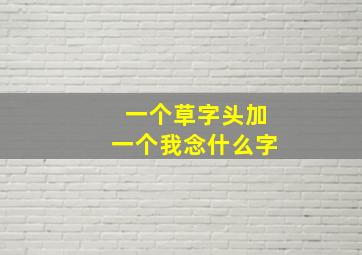 一个草字头加一个我念什么字