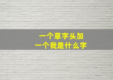 一个草字头加一个我是什么字