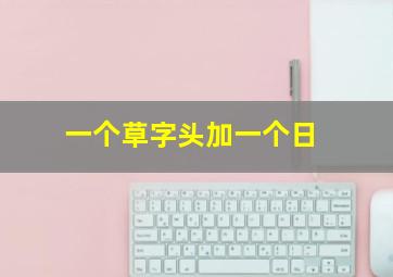 一个草字头加一个日