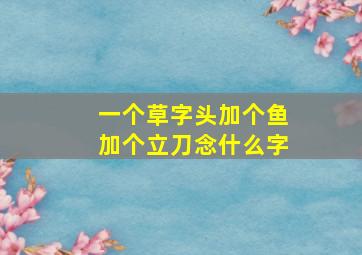 一个草字头加个鱼加个立刀念什么字