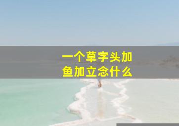 一个草字头加鱼加立念什么