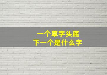 一个草字头底下一个是什么字