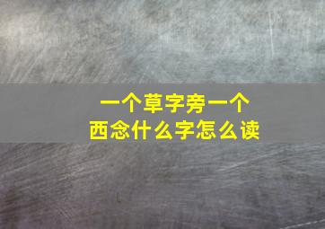 一个草字旁一个西念什么字怎么读