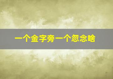 一个金字旁一个忽念啥