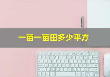 一亩一亩田多少平方