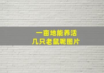 一亩地能养活几只老鼠呢图片