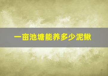 一亩池塘能养多少泥鳅