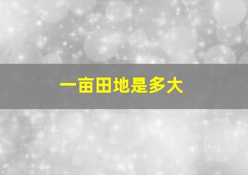 一亩田地是多大