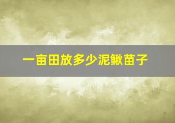 一亩田放多少泥鳅苗子