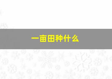 一亩田种什么