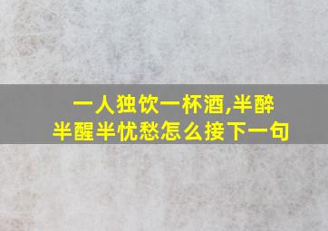 一人独饮一杯酒,半醉半醒半忧愁怎么接下一句